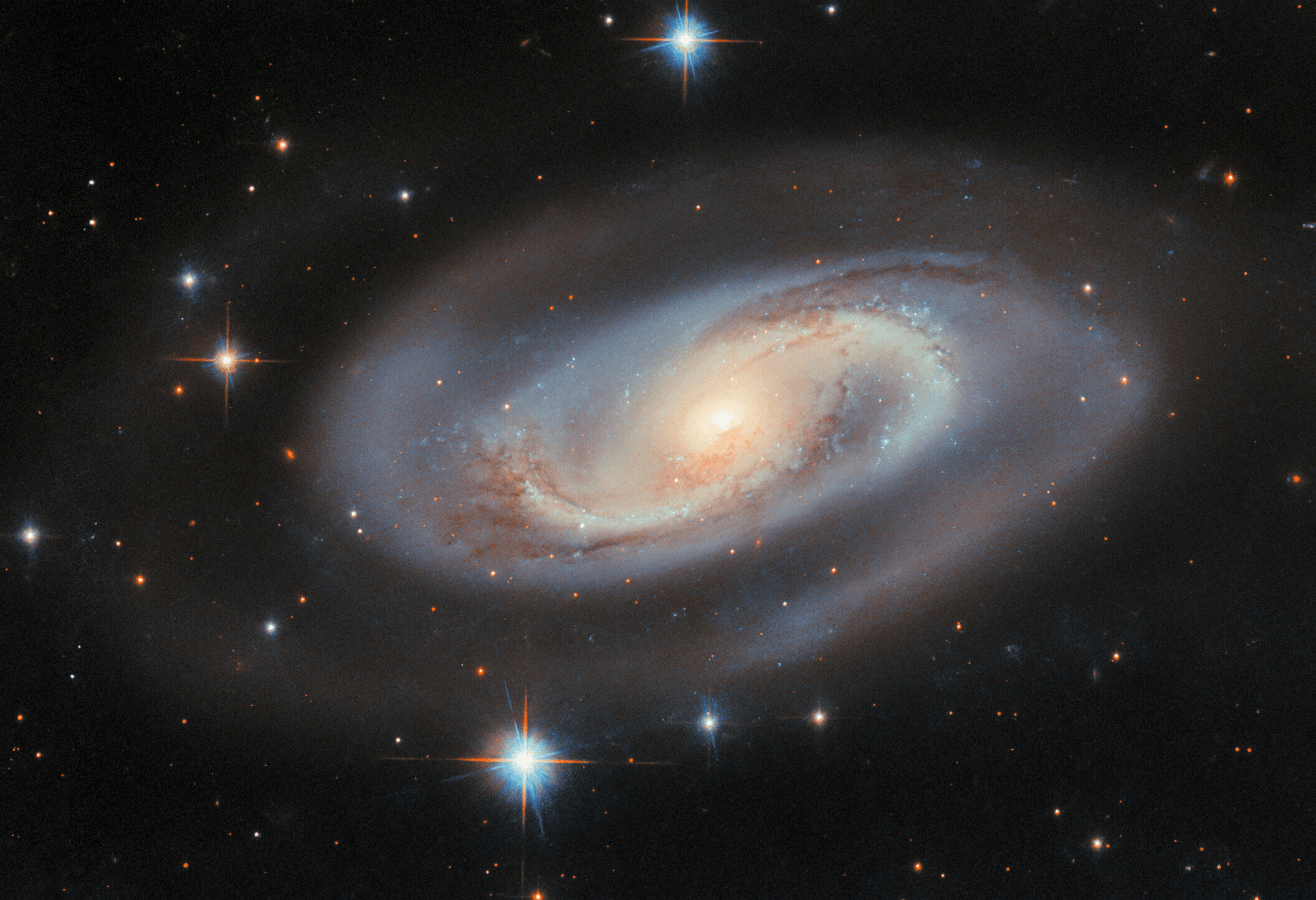 Cosmic project image: the spiral galaxy UGC 11397, imaged by Hubble